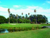 Heron Lake Golf Course & Resort - Green